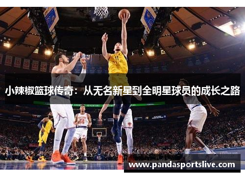 小辣椒篮球传奇：从无名新星到全明星球员的成长之路