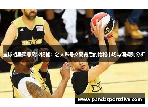 篮球明星卖号风波揭秘：名人账号交易背后的隐秘市场与潜规则分析