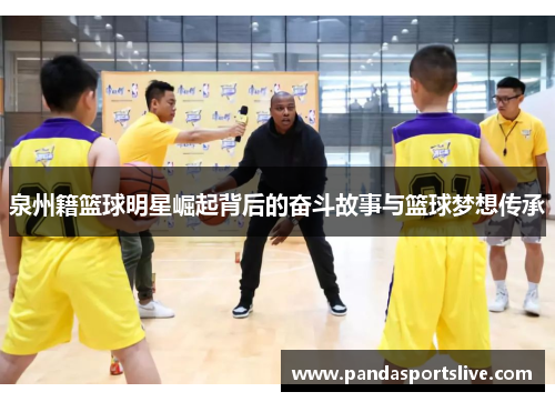 泉州籍篮球明星崛起背后的奋斗故事与篮球梦想传承